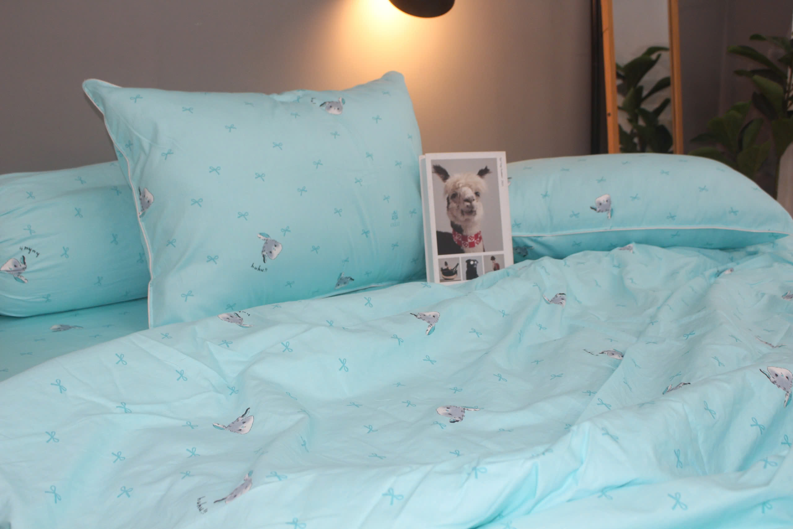 Bộ drap gối KHA LY - 100% cotton thiên nhiên Thỏ Nơ Ngọc